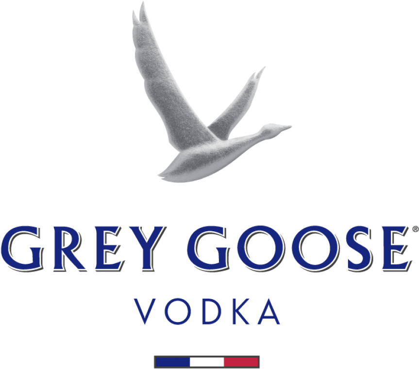 pngfind.com-goose-png-2833744